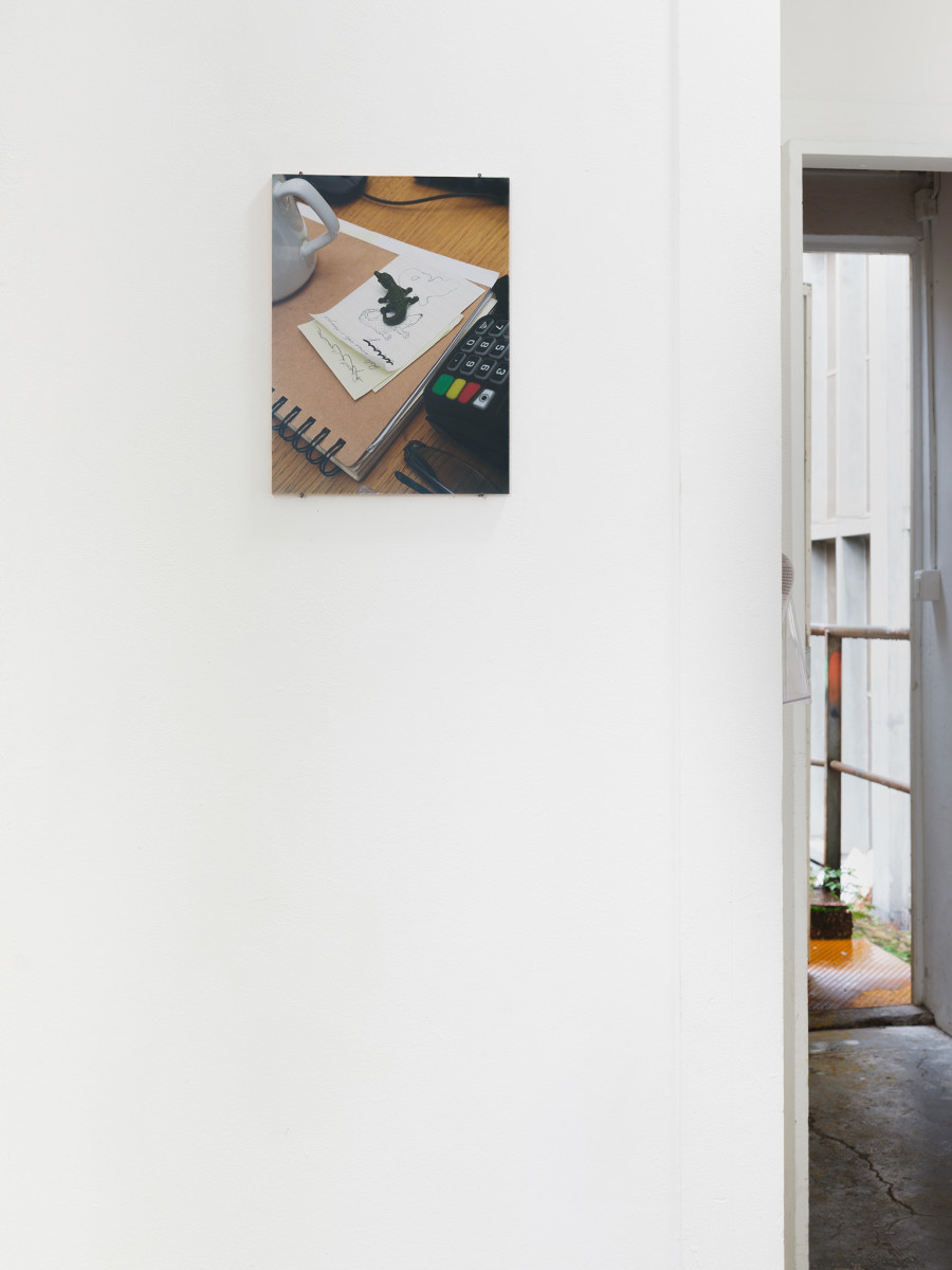 Hélène Janicot, Slither, 2025, injekt print on paper mounted on wood, anti-UV glass, 24 × 32cm. © Sebastien Verdon