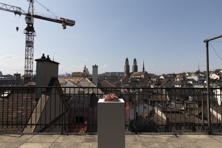 Exhibition view, La noche Bolana, Renata Petersen & Martin Soto Climent, The Lighthouse, 2023. Photo credit: Simon Baumberger