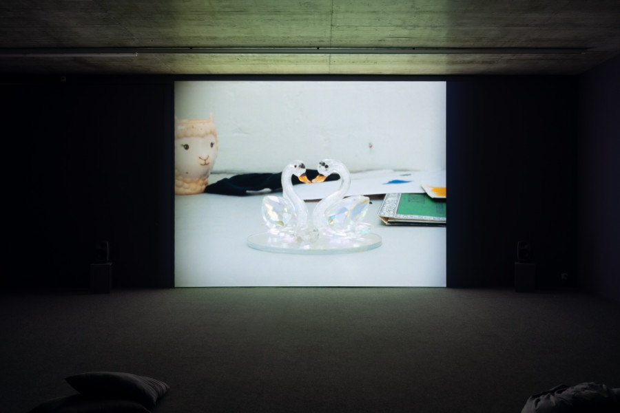 Rosalind Nashashibi, The Invisible Worm, 2024 (still). 16 mm film transferred to HD video, duration 17 minutes. © Rosalind Nashashibi. Ausstellungsansicht / Installation view Kunsthaus Baselland 2025. Foto / Photo: Finn Curry
